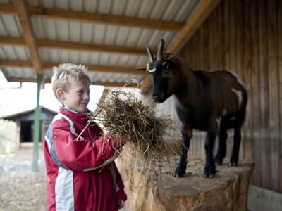 Bild 30 aus  Landhotel-Ferienhof Schneider