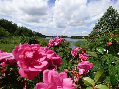 Bild 4 aus  Gut Groß Zecher