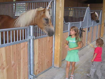 Bild 42 aus  Wietererhof