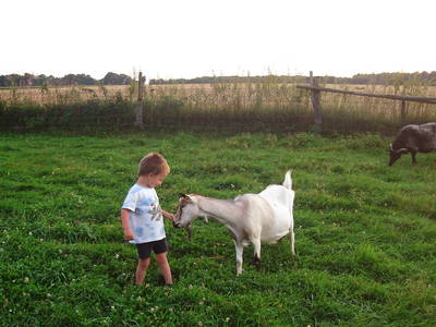 Bild 34 aus  Ferienhof Stegen