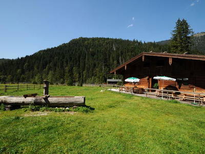 Bild 5 aus  Plenkhof