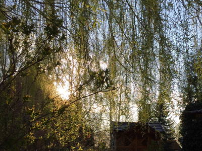 Bild 16 aus  Bauerncafé Sprengel