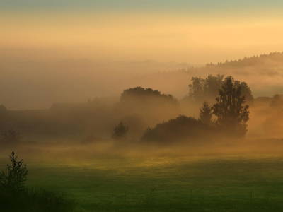 Bild 35 aus  Paulas Bauernhof im Bayerischen Wald