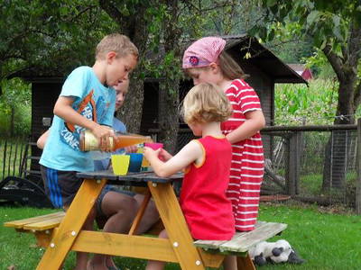 Bild 5 aus  Hubertushof Steidle