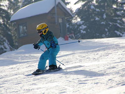 Bild 20 aus  Paulas Bauernhof im Bayerischen Wald