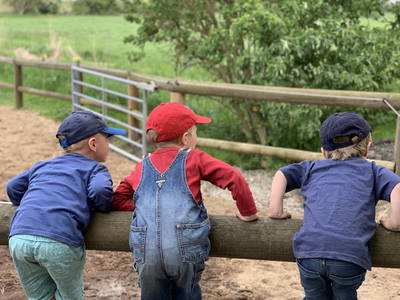 Bild 35 aus  Ferienhof Presener Deichkrone