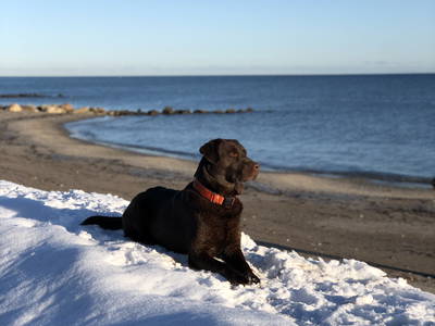 Bild 78 aus  Ostsee Ferienhof Kluvetasch