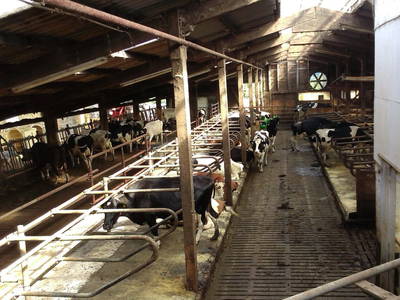 Bild 23 aus  Familienbauernhof Faß