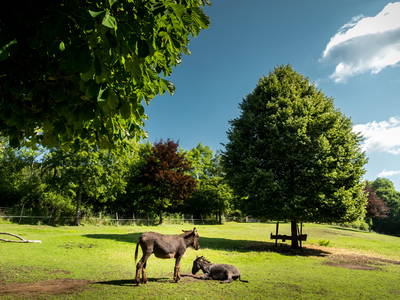 Bild 22 aus  Gut Neuwerk