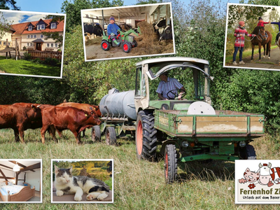 Bild 2 aus  Ferienhof Zinn