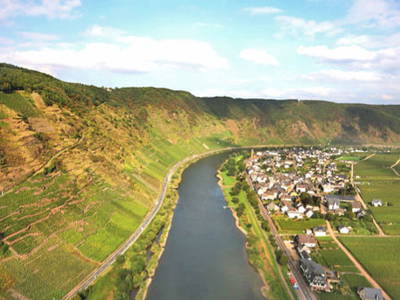 Die Mosel bei Ernst