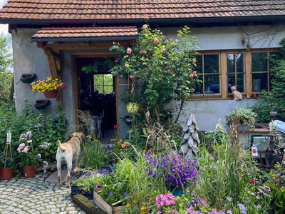 Bild 17 aus  Reit-, Pensions- und Ferienhof Zehendner