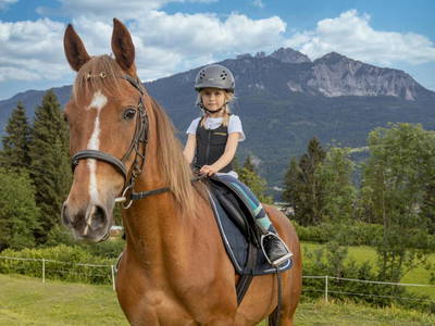 Bild 50 aus  Schabushof