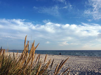 Bild 16 aus  Ferienhof Familie Jörn Höper