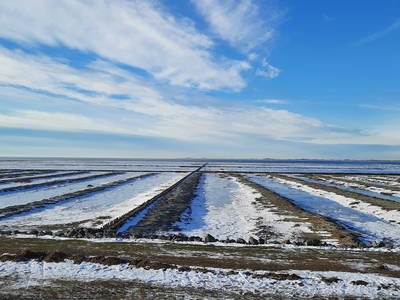 Bild 20 aus  Ferienhof Martens