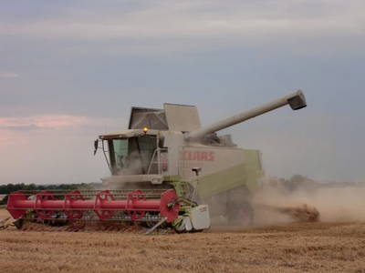 Bild 31 aus  Ferienhof Rauert