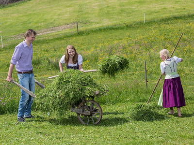 Bild 15 aus  Matheishof