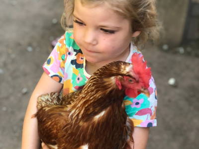 Bild 29 aus  Ferienhof Waldblick