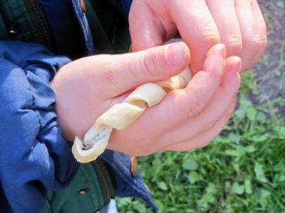 Bild 15 aus  Ferienhof  Moos