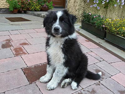 Bild 24 aus  Steinerhof