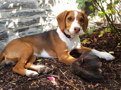 Bild 53 aus  Gut Frielinghausen