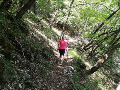 Bild 35 aus  Ansitz Grustdorf