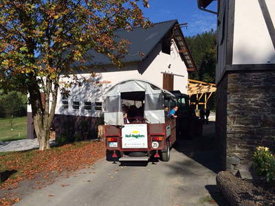 Bild 7 aus  Hof Hagdorn