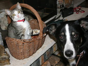 Bild 5 aus  Eselhof Le Certeau