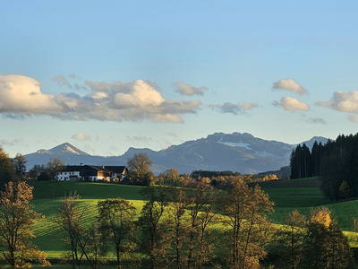 Bild 41 aus  Frankhof