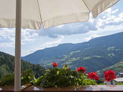 Bild 6 aus  Haus Sonnegg