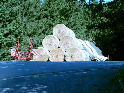 Bild 21 aus  Steffahof - Mitglied von LandSelection