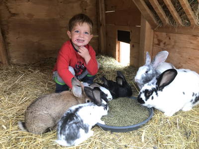 Bild 37 aus  Landkulturhof Glücksbringer