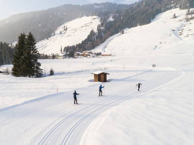 Bild 17 aus  Alpenrösle Ferienwohnungen