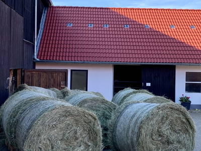 Bild 34 aus  Ferienhof Ritter im Harz