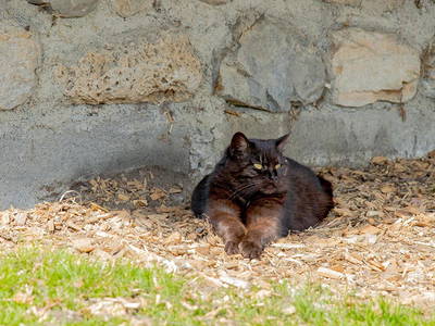 Bild 28 aus  Landselection Appartement Arnoldgut