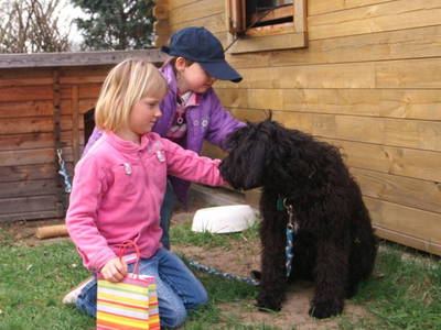 Bild 54 aus  Erlenhof im Oderbruch - Rund ums Schaf