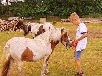 Bild 15 aus  Ferienhof Ebsen