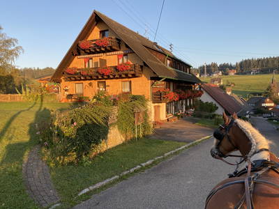 Bild 2 aus  Ferien-Landhaus-Isolde