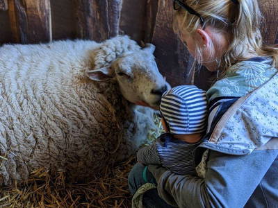 Bild 12 aus  Baustrup Hof