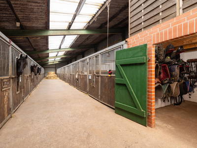 Bild 34 aus  Ferienhof Frieslandstern