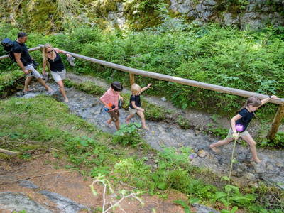 Bild 22 aus  Landhof - Familie Mairhofer