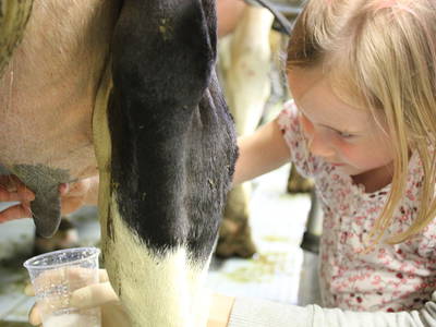Bild 4 aus  Bernis Ferienhaus