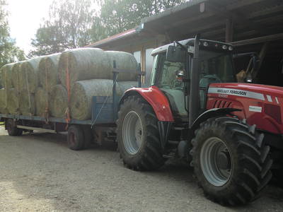 Bild 32 aus  Mayerhof