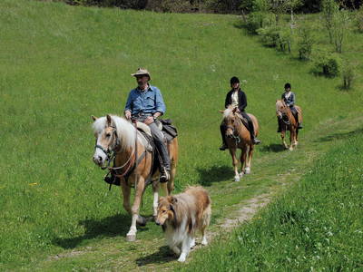 Bild 13 aus  Grannerhof - Urlaub auf dem Bauernhof