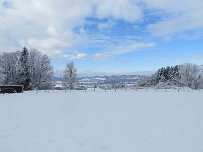Bild 10 aus  Ferienwohnungen "Zum Baur" - Walser