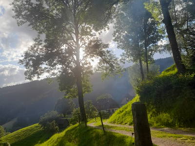 Bild 18 aus  Fussbauernhof