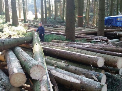 Bild 21 aus  Ferienwohnungen Strobel Eichstegen