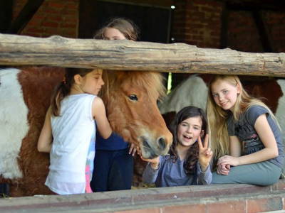 Bild 14 aus  Ponyhof Georgenbruch - Gutshof mit Ferienwohnungen, Pensionsstall und Reitschule