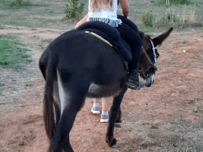 Bild 13 aus  Urlaub auf dem Lande zwischen den zwei Meeren - Apulien - Salento