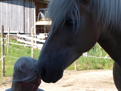 Kuschelstunde mit unserem Haflinger Axam